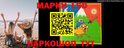 индика Малгобек