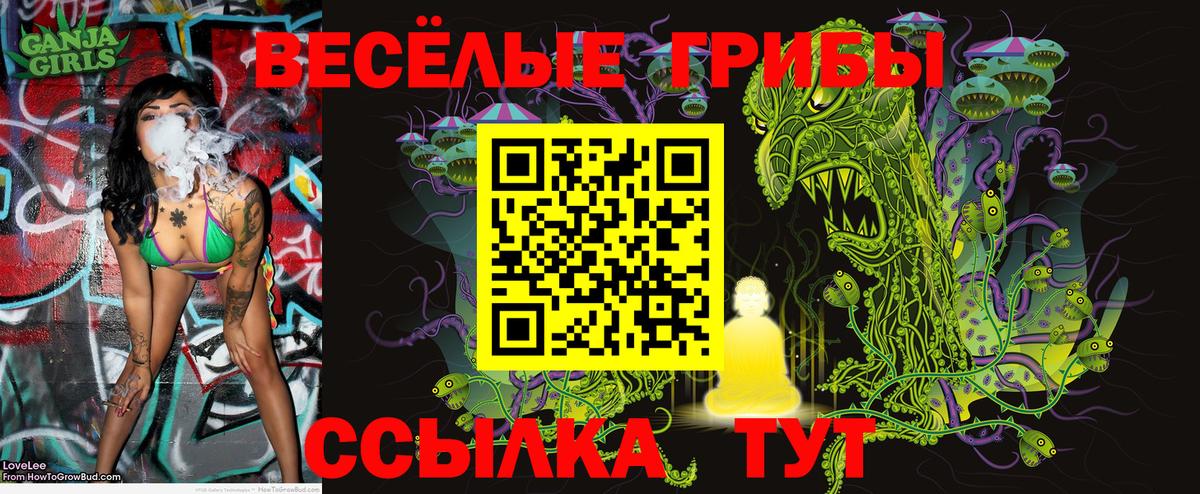 Галлюциногенные грибы Cubensis  Псилоцибиновые грибы Psilocybe  Вход с VPN  Гатчина 