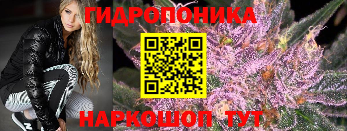 Каннабис конопля Гатчина